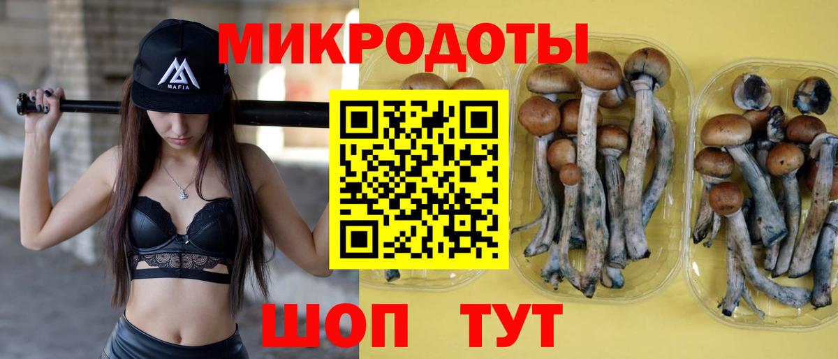 Псилоцибиновые грибы прущие грибы Курчалой